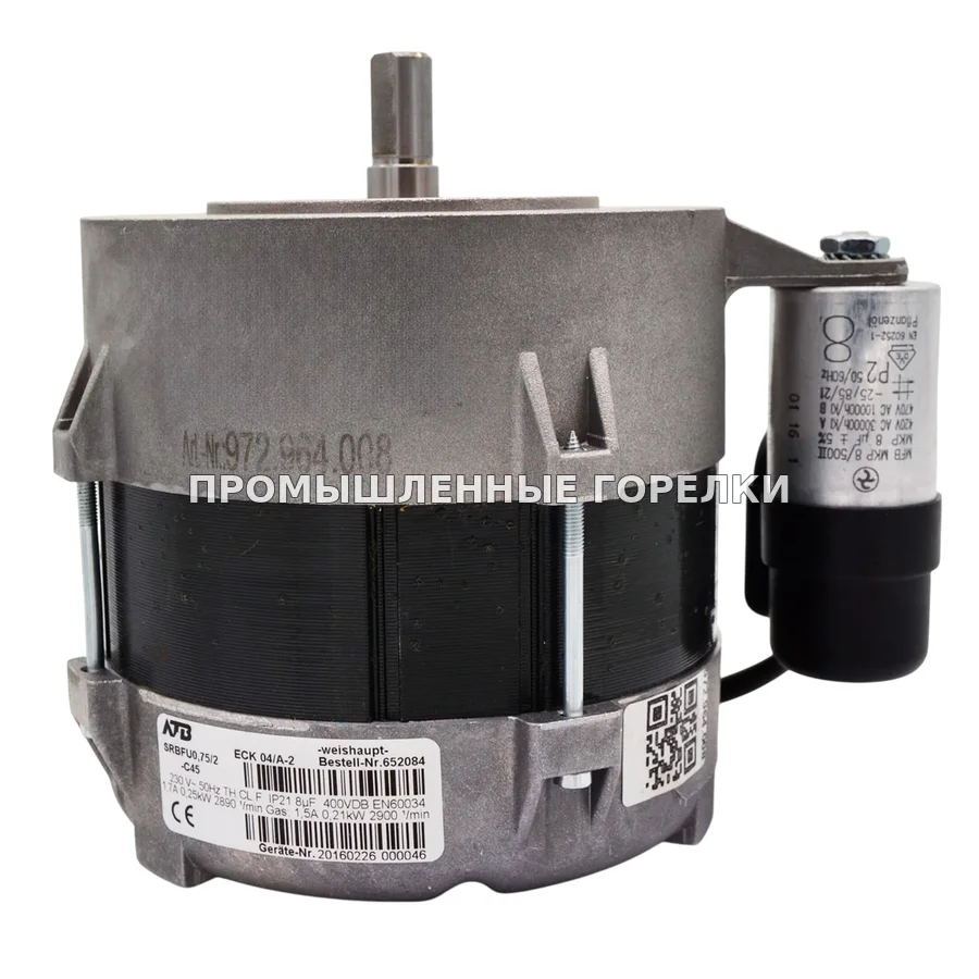 Электродвигатель Weishaupt ECK 04/A-2 We652084 для промышленной горелки